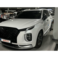 Hyundai Palisade, I
